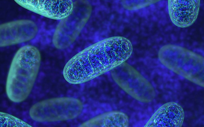 Nuovi LEA: Attenzione Anche Su Applicazione Dello Screening Metabolico Allargato